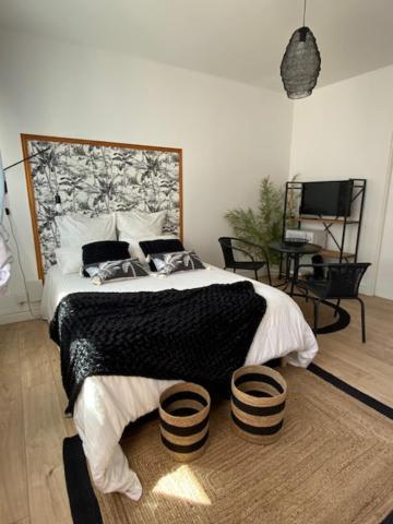 Appartements Pyrenees-Barthou Pau Eksteriør billede