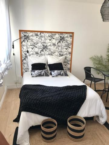 Appartements Pyrenees-Barthou Pau Eksteriør billede